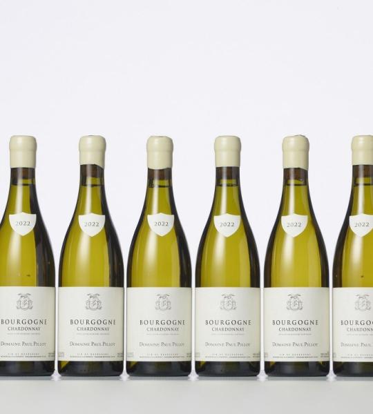 CARTON JCB LES URSULINES CHARDONNAY 2021 BLANC