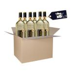 CARTON SUD MOELLEUX 2021 1L